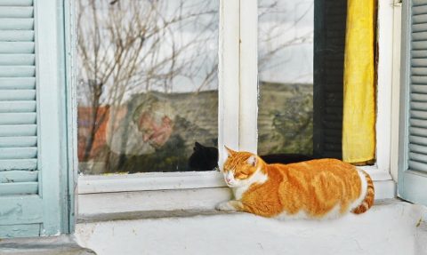 Σκύβοντας λίγο πάνω απ’ τον έρωτα